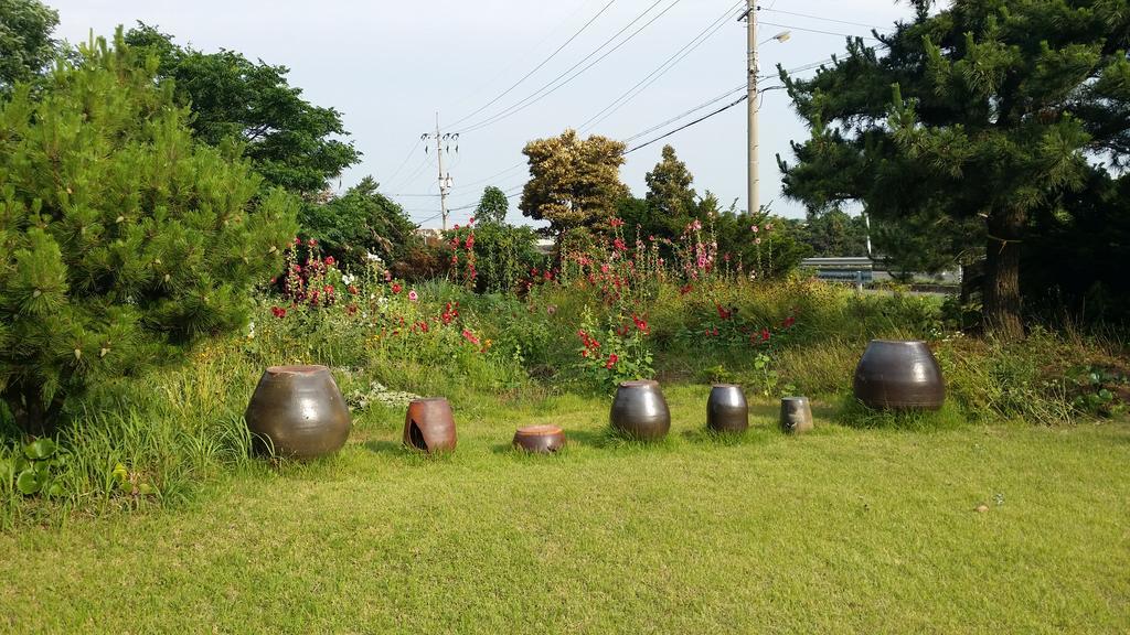 Jun House Hostel Jeju