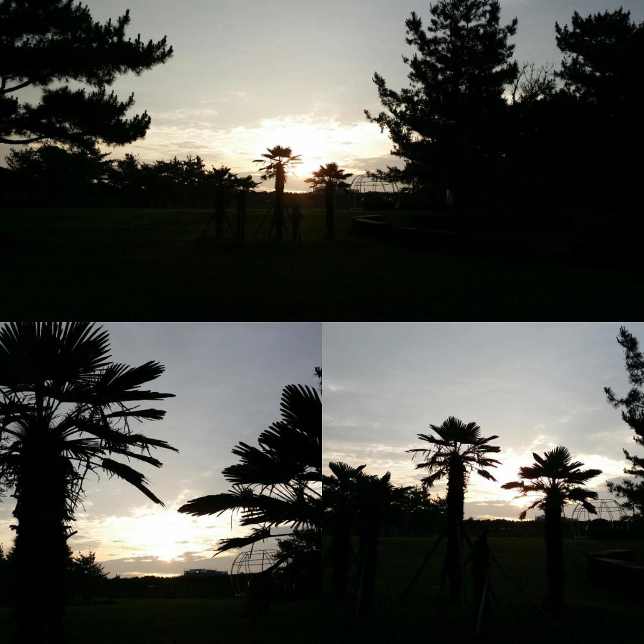 Jun House *